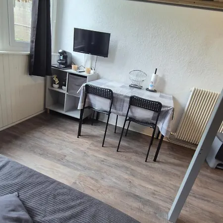Les Grands Horizon Apartment Besse-et-Saint-Anastaise